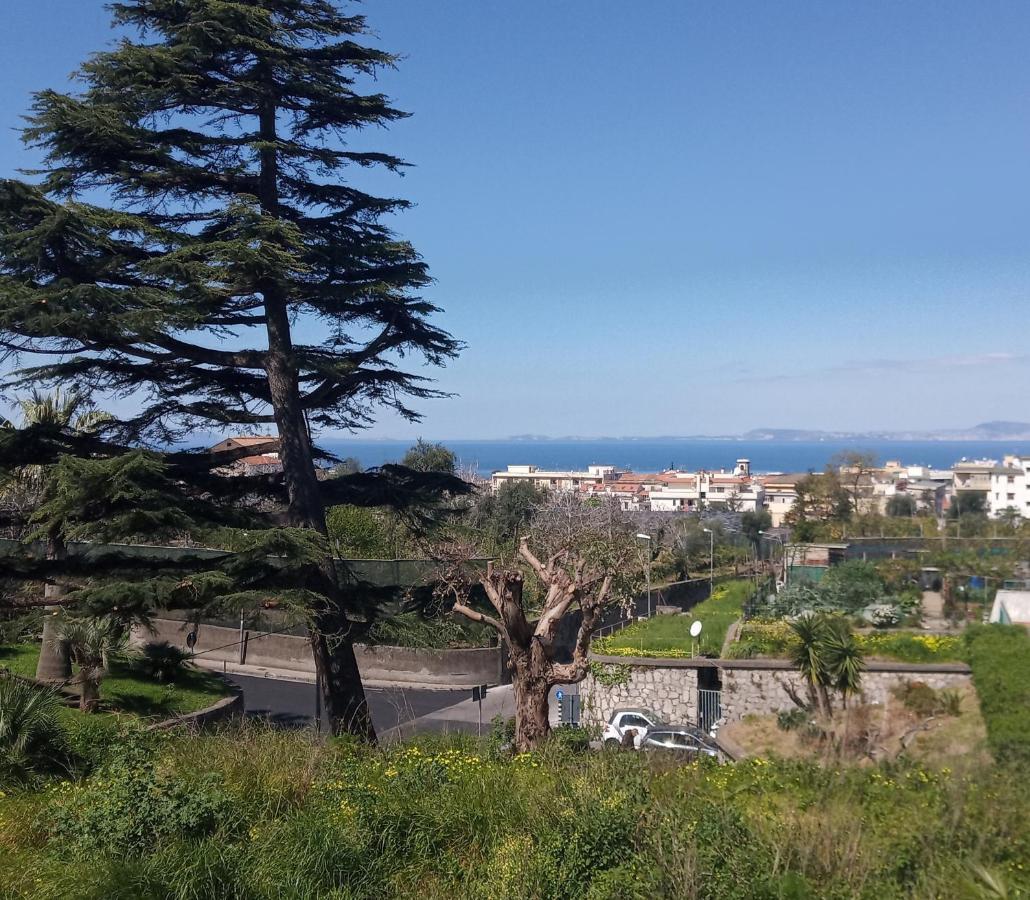 Bed and Breakfast Il Platano Piano di Sorrento Exterior foto