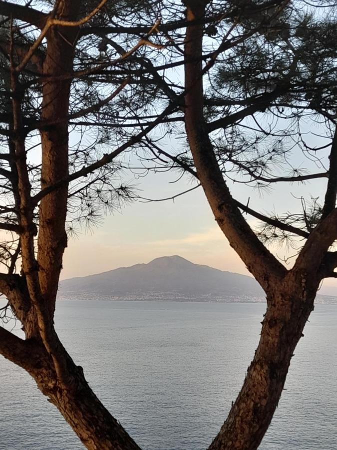 Bed and Breakfast Il Platano Piano di Sorrento Exterior foto