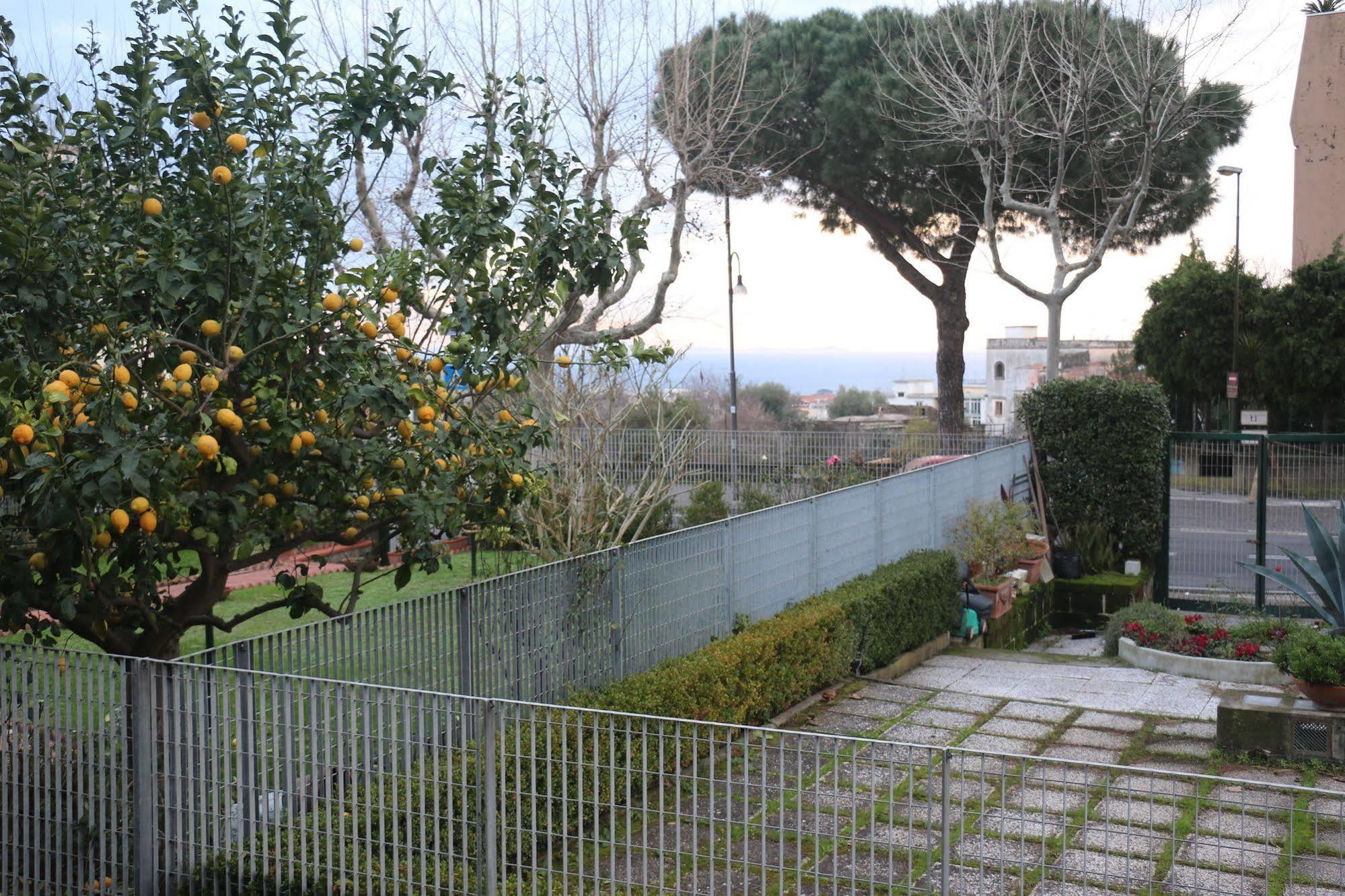 Bed and Breakfast Il Platano Piano di Sorrento Exterior foto